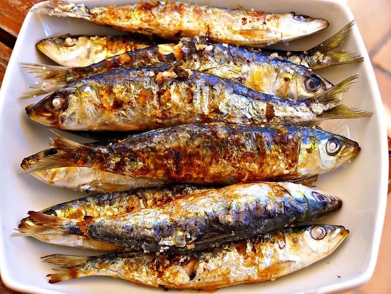 Grilled Sardines